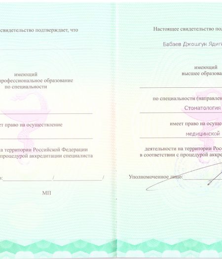 babaev-j-docs-4